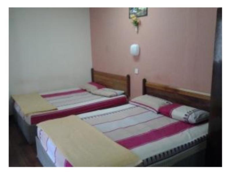 Silver Inn Hotel Segamat Exterior foto